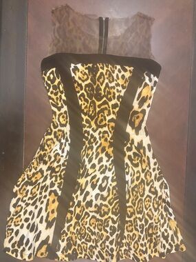 Leopard Print Fit-and-Flare Dress with Black Paneling
